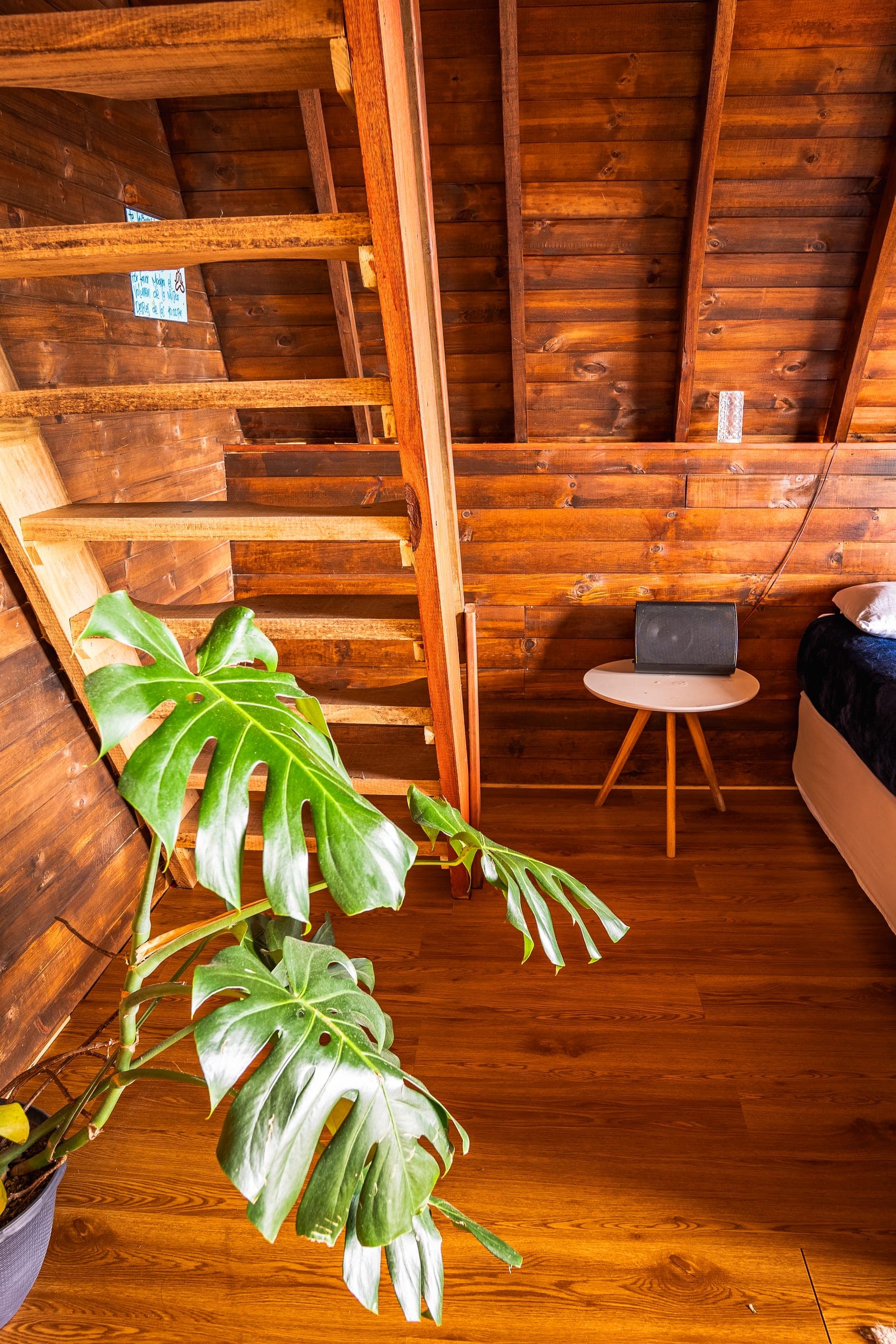 Alaia Chalet · exteriores (38)