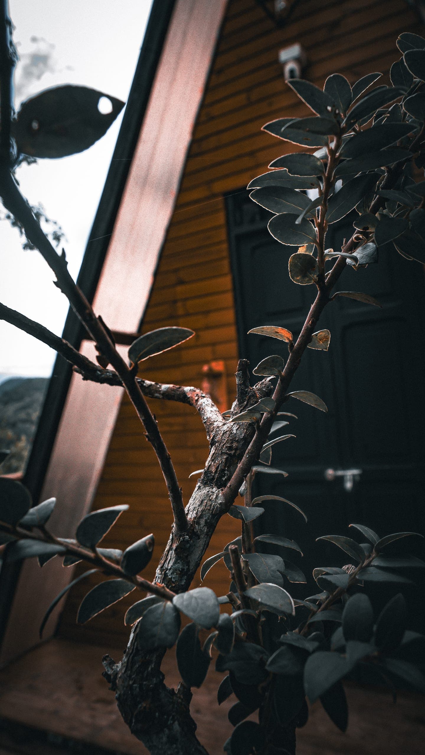 Milán Tiny House · exteriores (23)