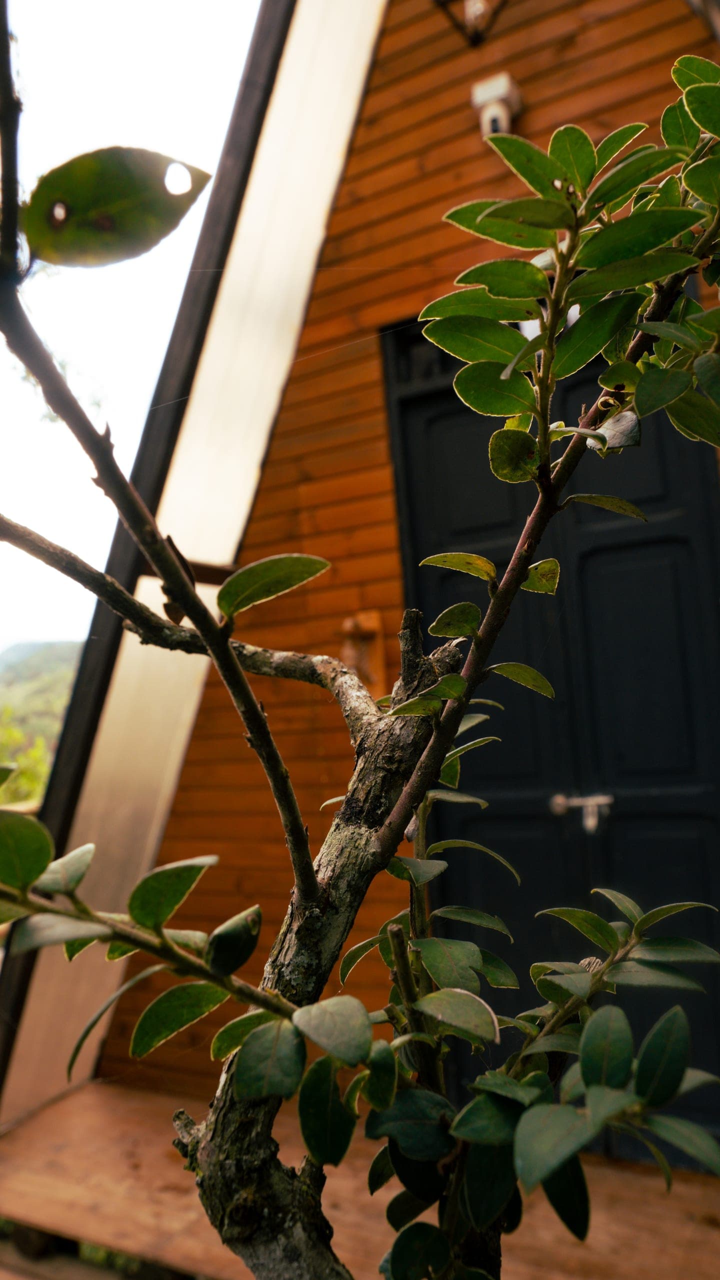 Milán Tiny House · exteriores (14)