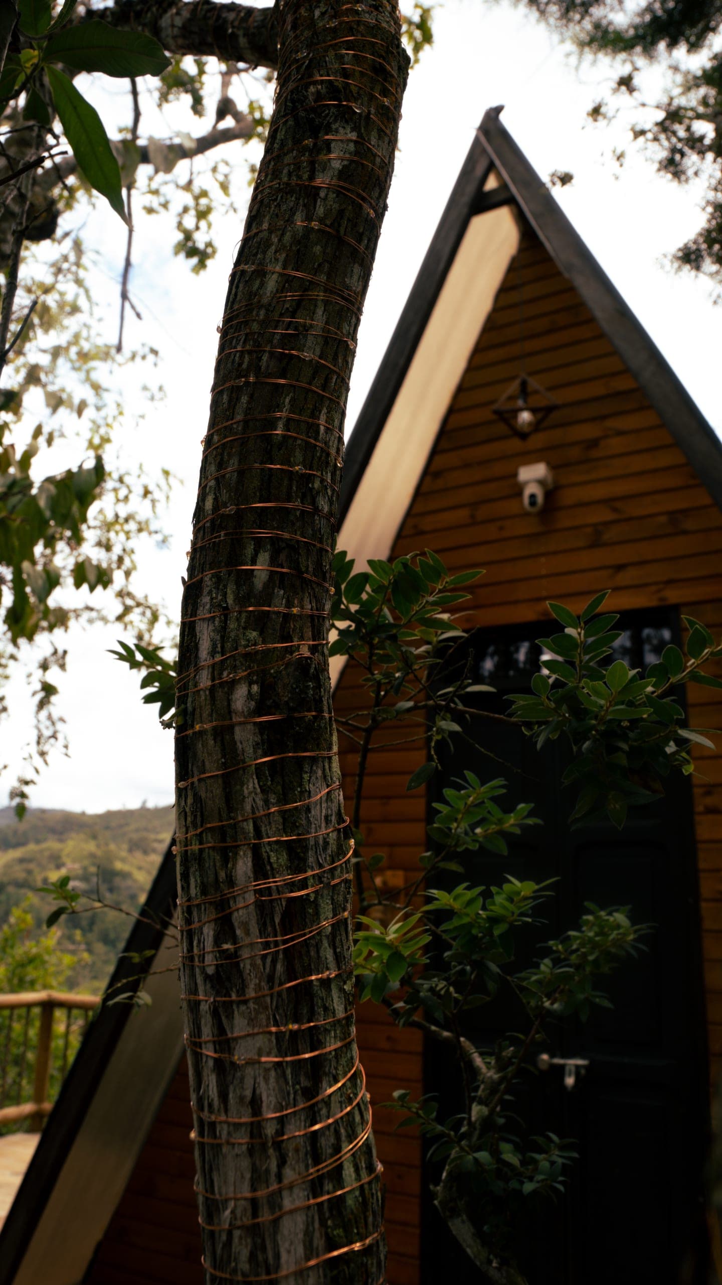 Milán Tiny House · exteriores (20)